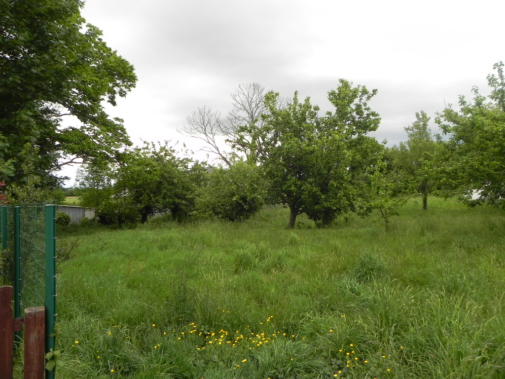 Photo Terrain Plougonven 886 m2 image 3/4