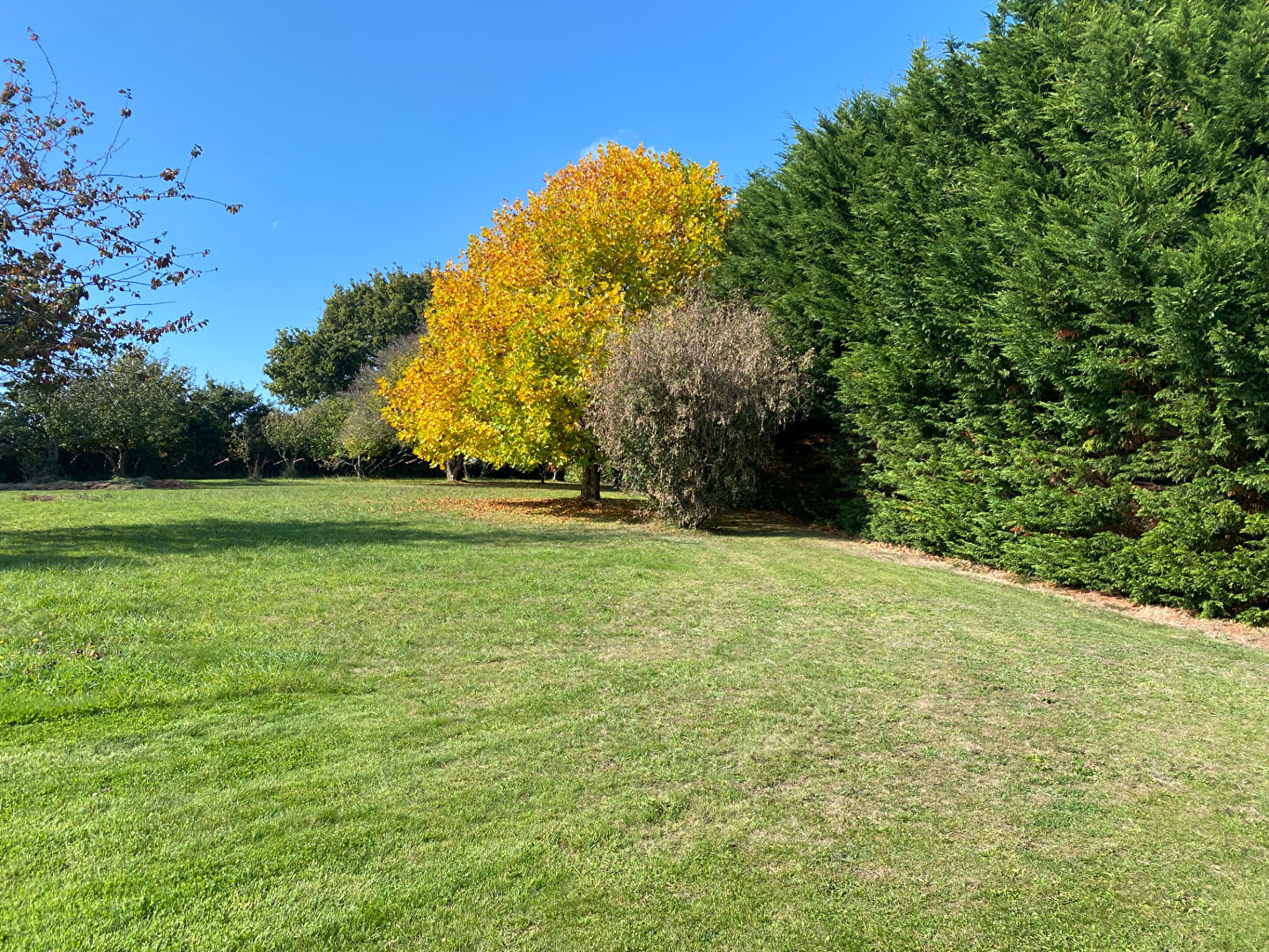 Photo Maison Henvic 4 pièce(s) image 3/6