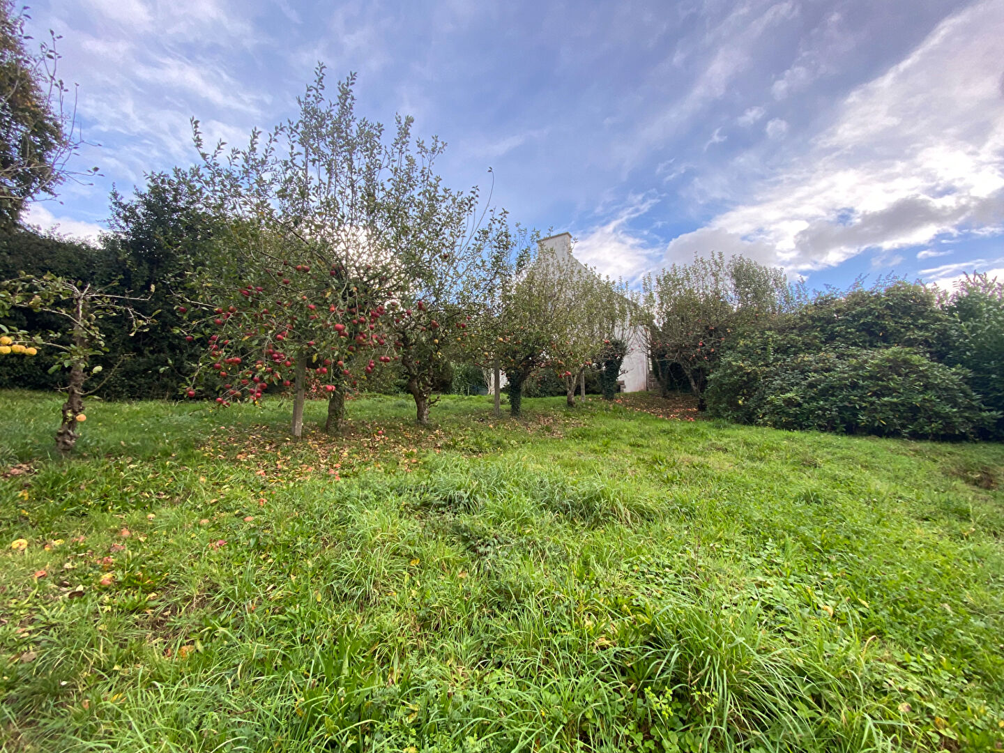 Photo Maison Taule 6 pièce(s) 160 m2 image 2/6