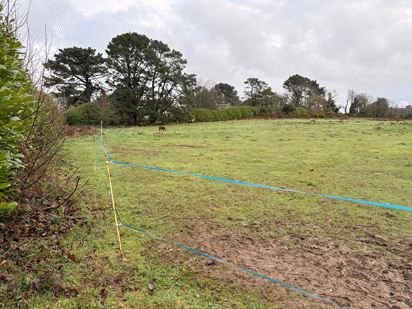 Photo Terrain Constructible Guerlesquin 8180 m2 image 1/6