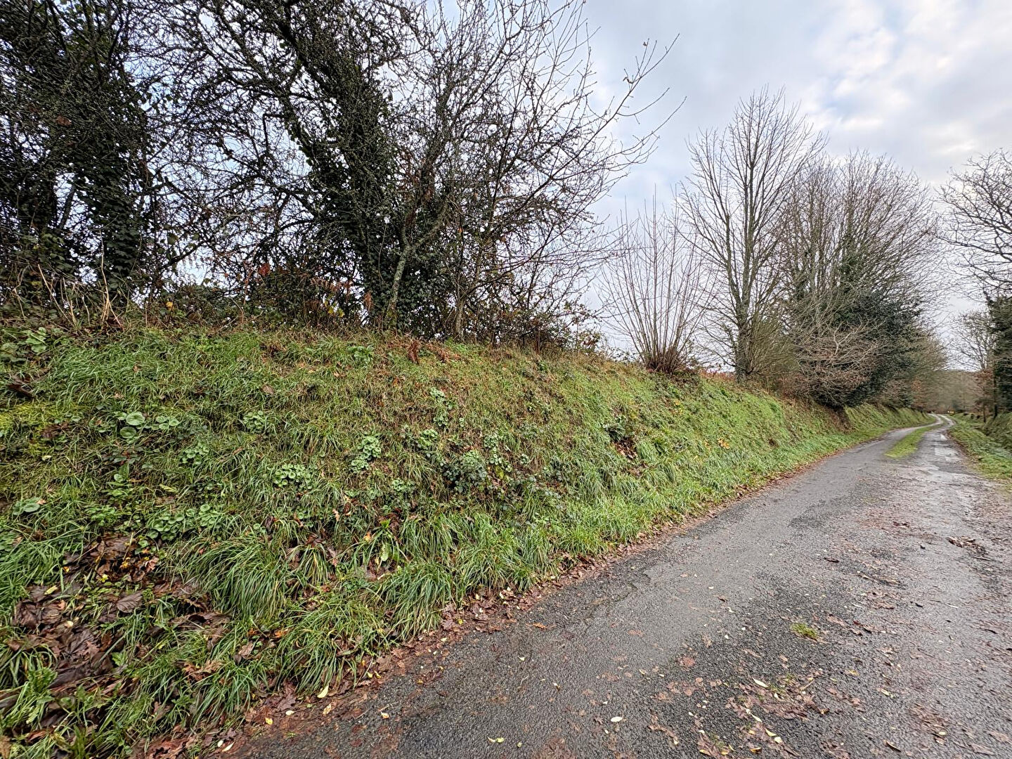 Photo Terrain Constructible Guerlesquin 8180 m2 image 2/6