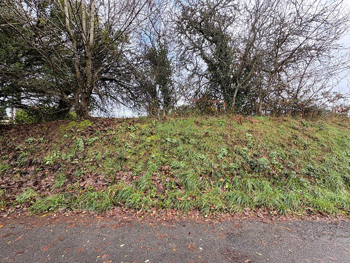 Photo Terrain Constructible Guerlesquin 8180 m2 image 3/6