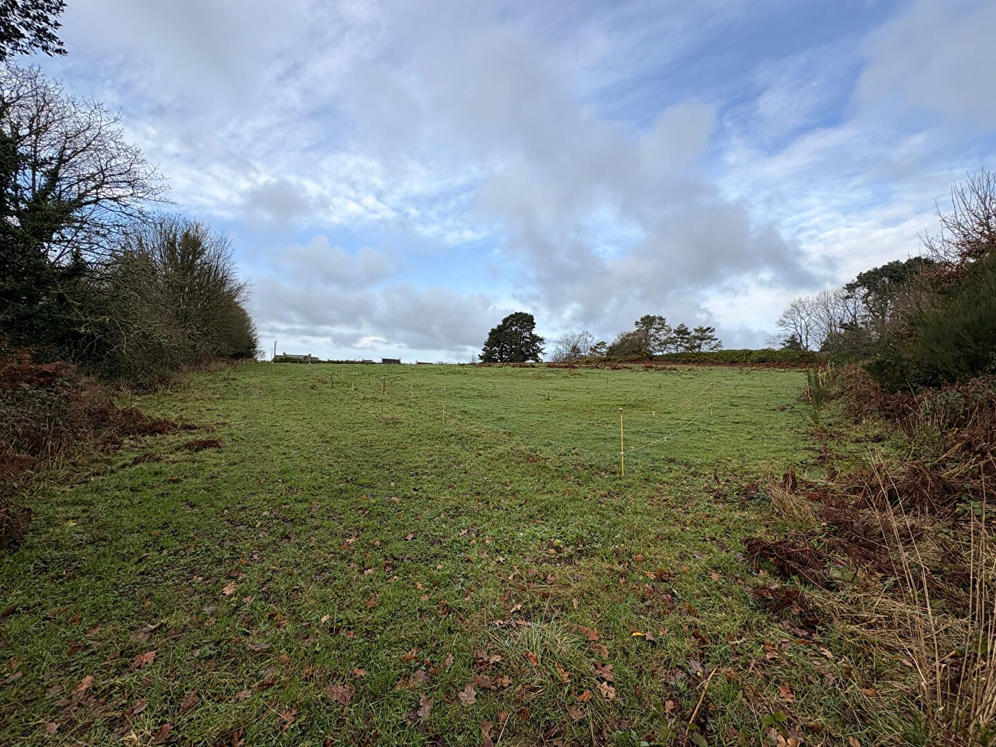 Photo Terrain Constructible Guerlesquin 8180 m2 image 5/6