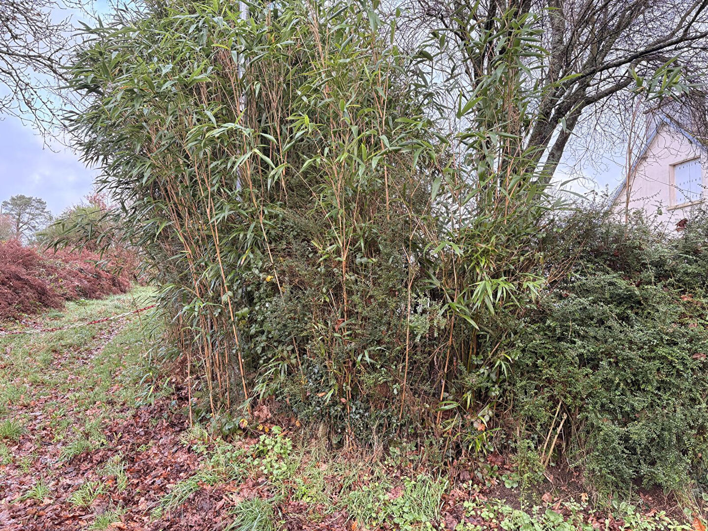 Photo Terrain Constructible Guerlesquin 8180 m2 image 6/6