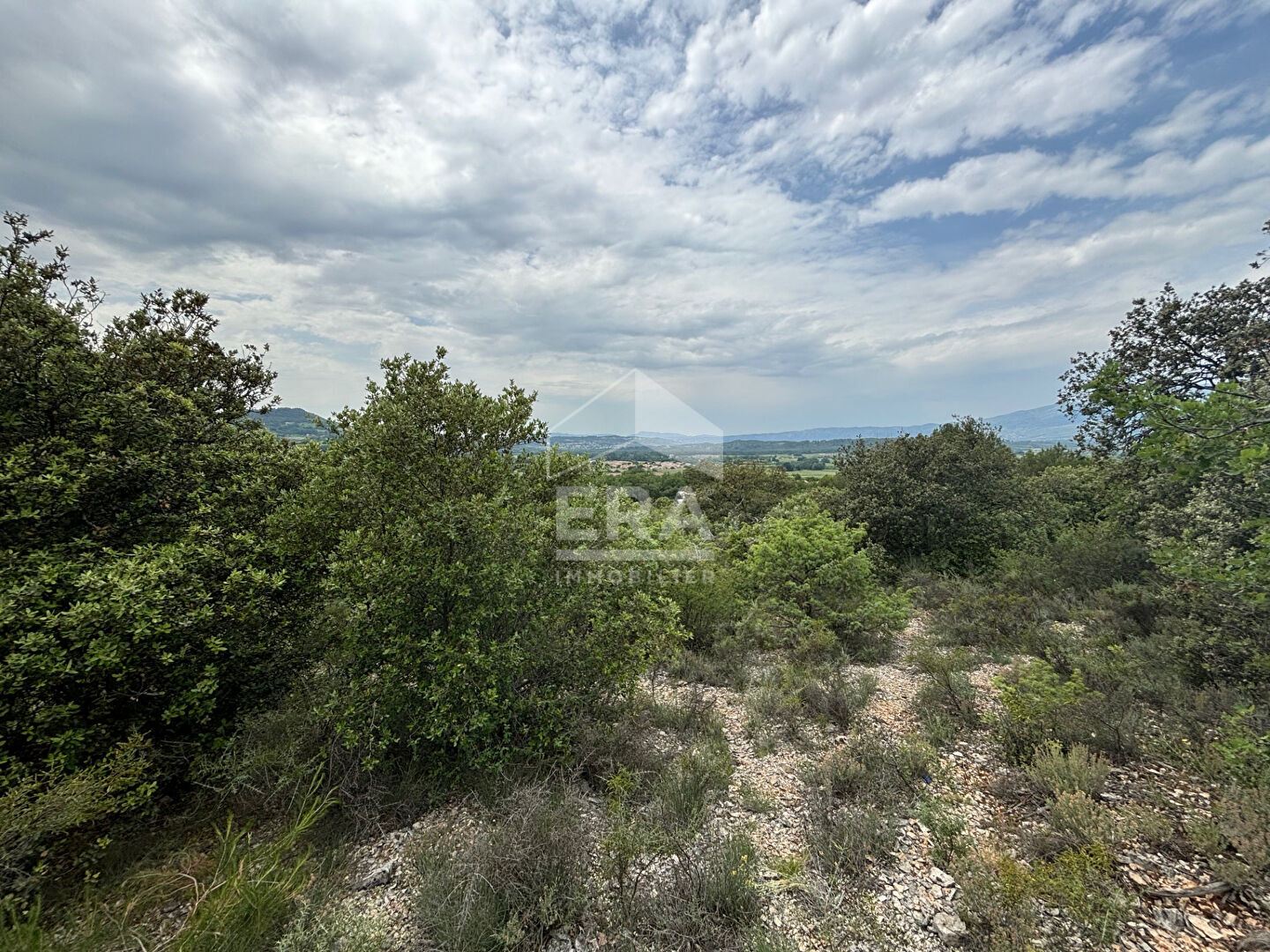 Photo Domaine forestier Blauvac 14210 m2 image 1/6