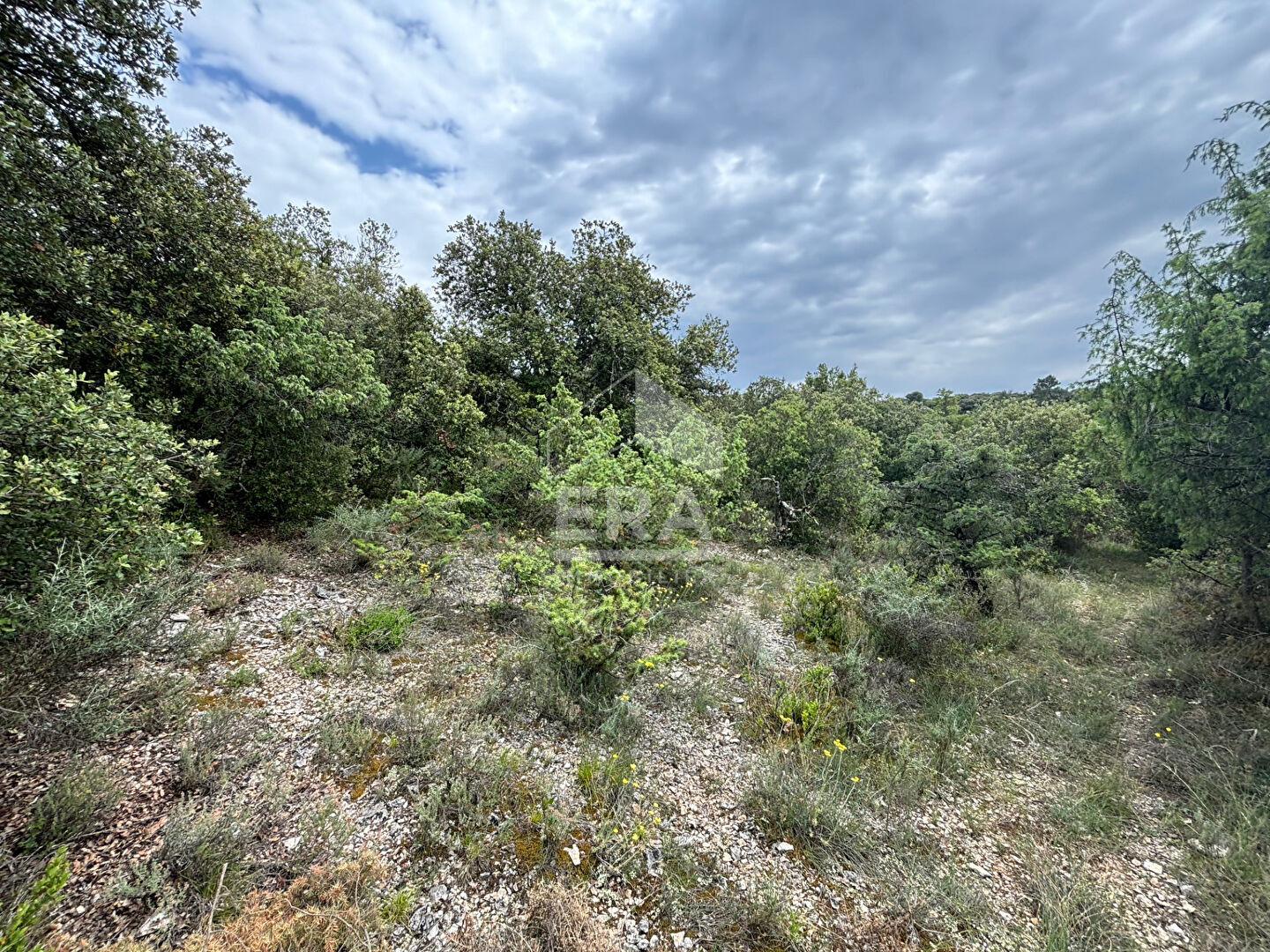 Photo Domaine forestier Blauvac 14210 m2 image 2/6