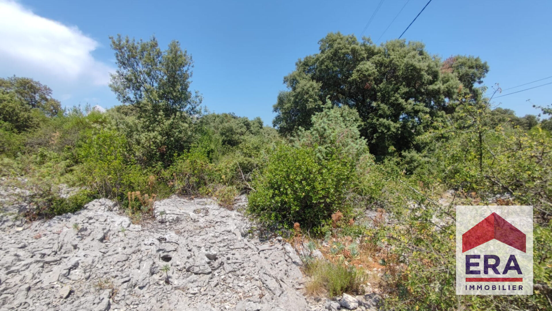 Terrain Bidon 5000 m2