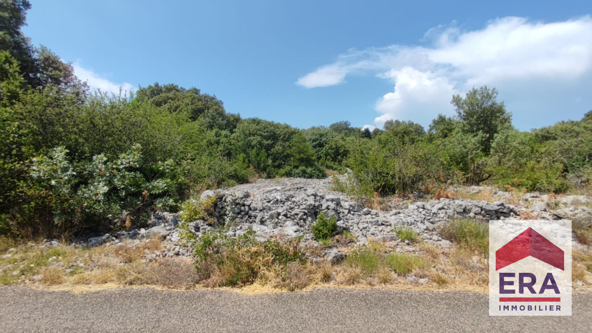 Photo Terrain Bidon 5000 m2 image 2/4