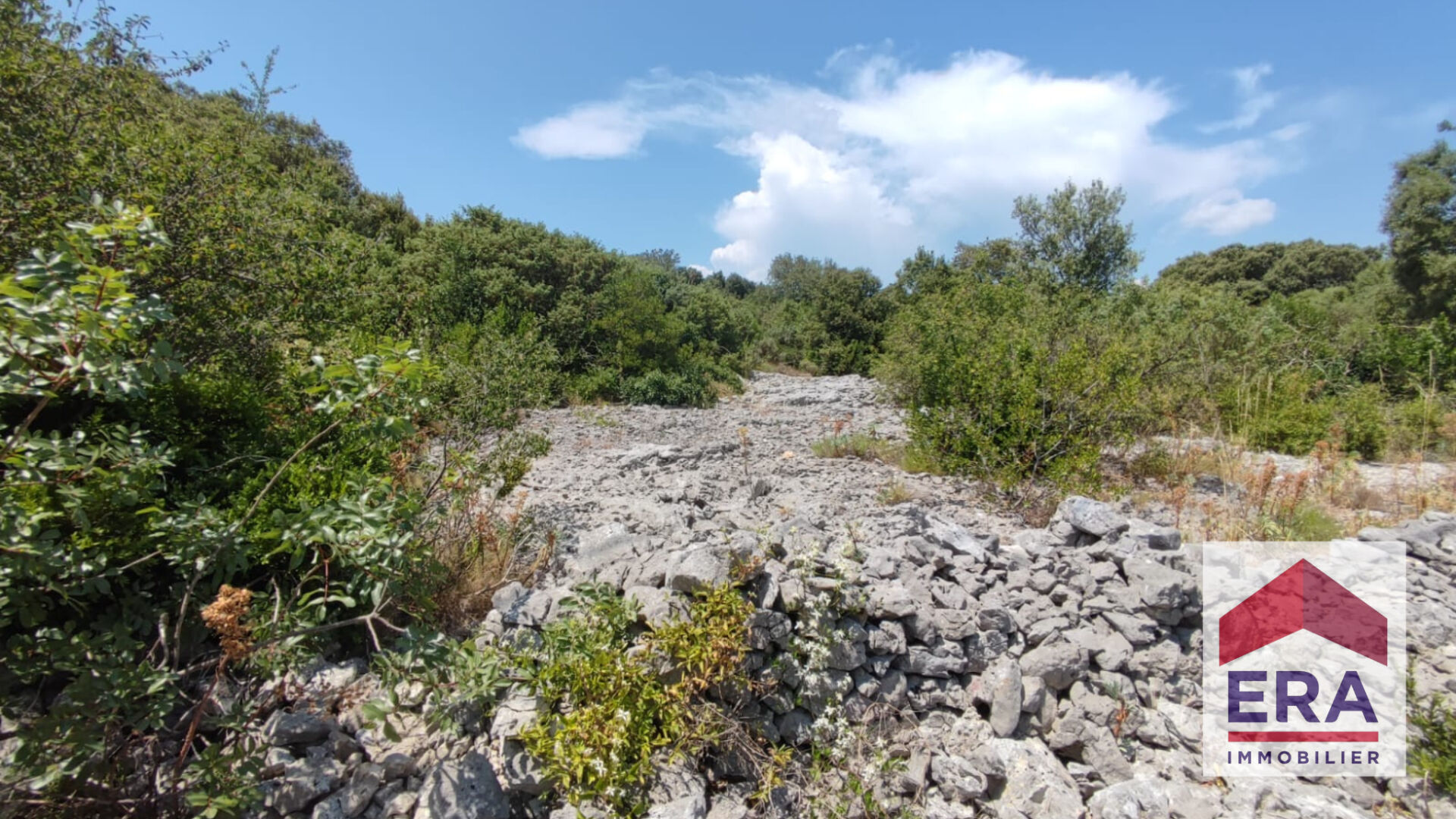 Photo Terrain Bidon 5000 m2 image 3/4