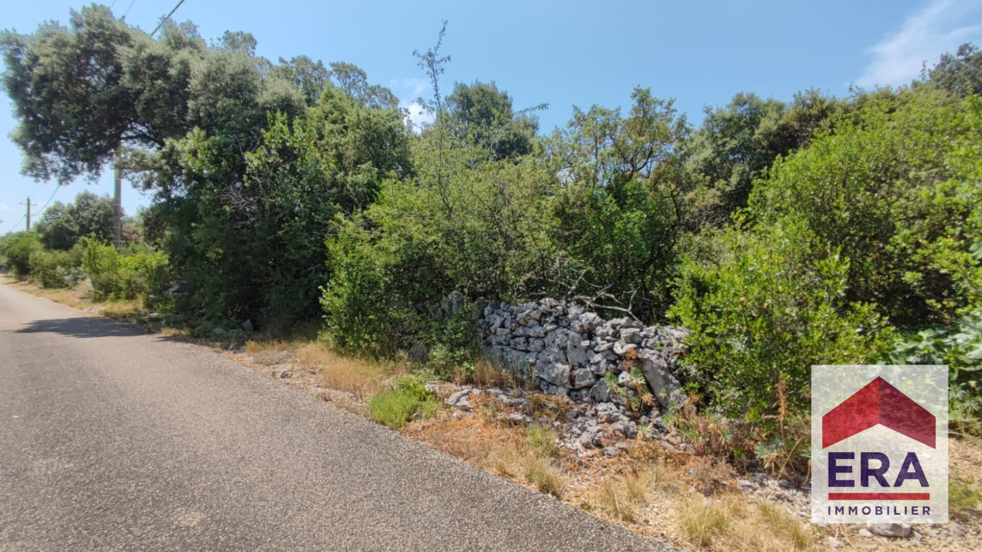 Photo Terrain Bidon 5000 m2 image 4/4