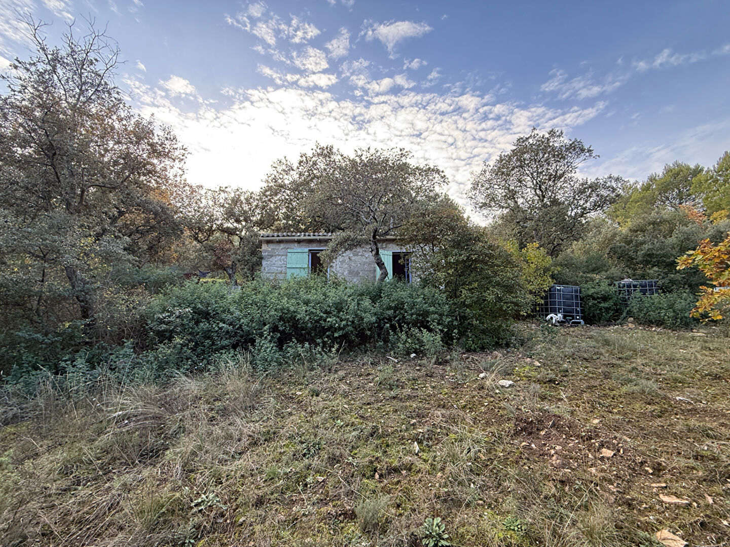 Terrain La Roque Sur Pernes 3045m² - Cabanon - Vue ventoux