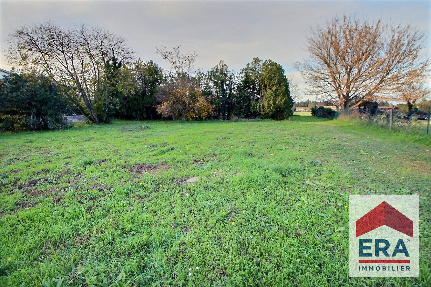 Photo Terrain Mondragon 1145 m2 image 3/3