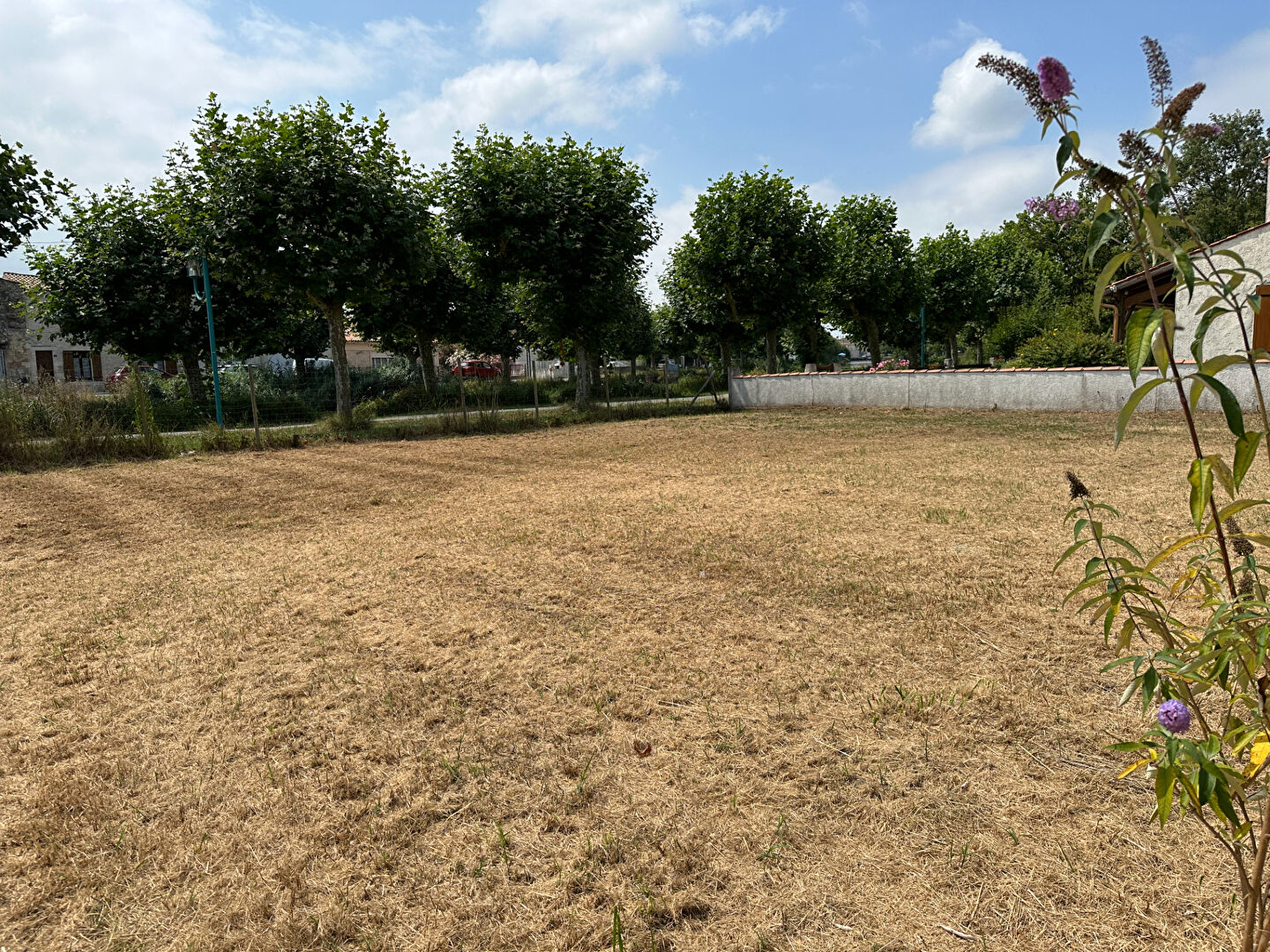 Photo Terrain à batir / Centre ville Saujon image 2/4