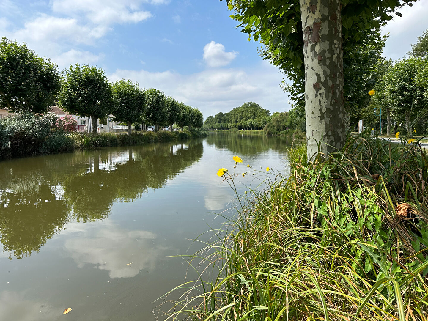 Photo Terrain à batir / Centre ville Saujon image 3/4