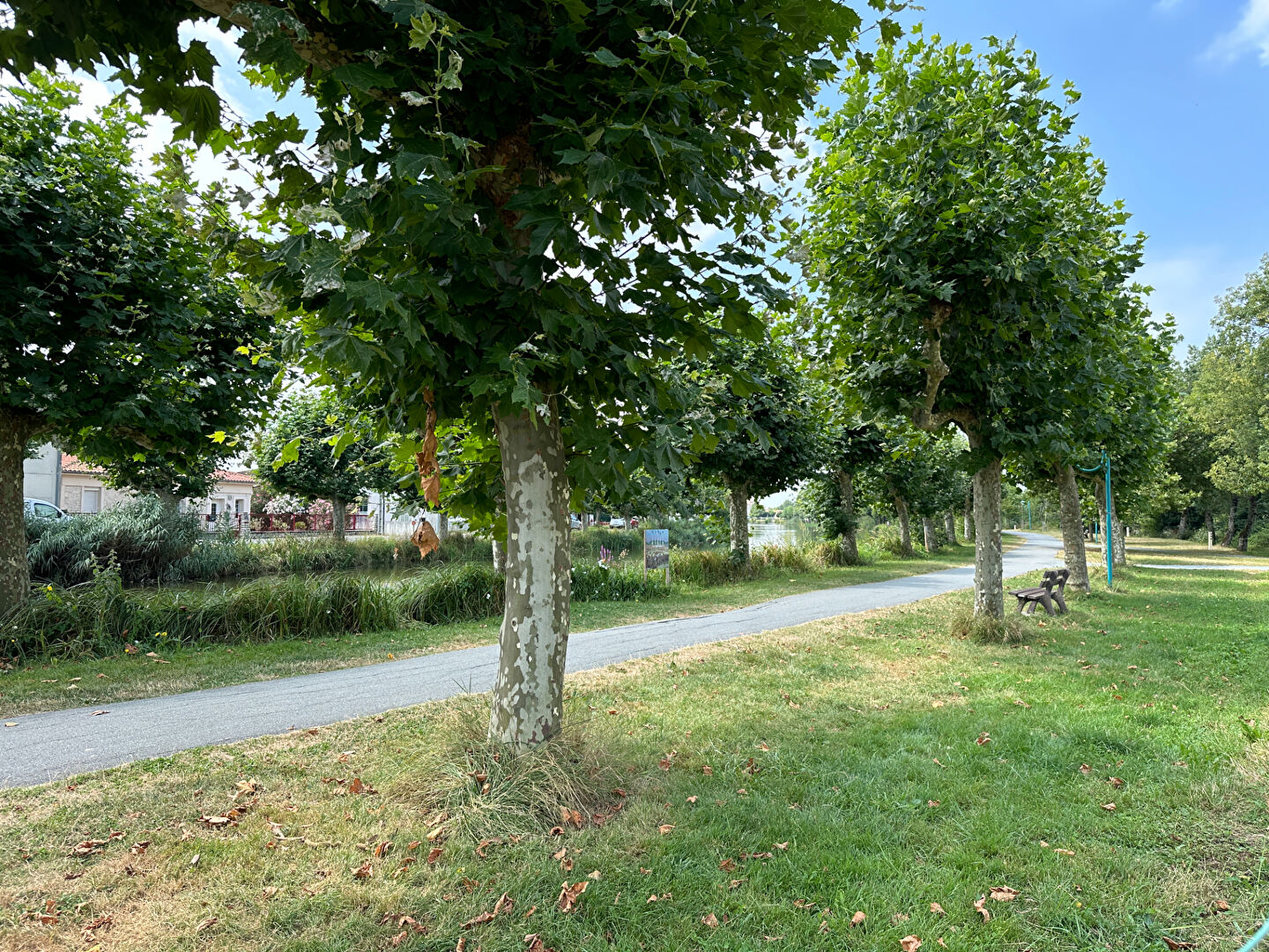 Photo Terrain à batir / Centre ville Saujon image 4/4