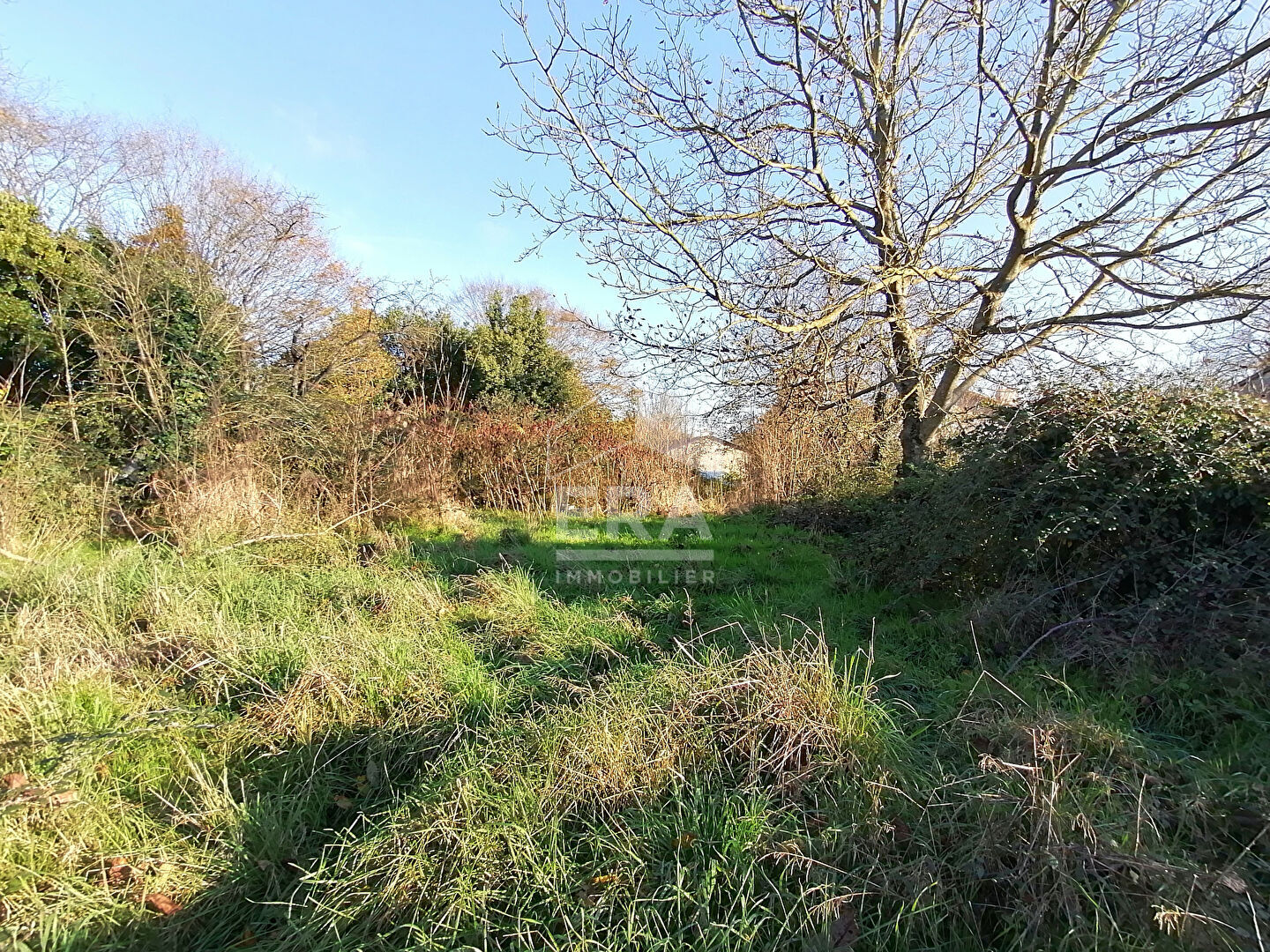 Photo Maison Alloinay 103 m² image 6/6