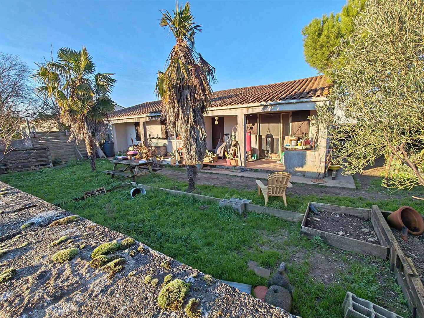 Photo Terrain Verines 1100 m2 image 1/1