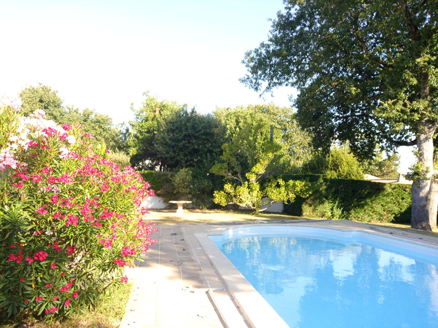 Photo Maison Vaux Sur Mer - 6 pièce(s) 149 m2 image 6/6