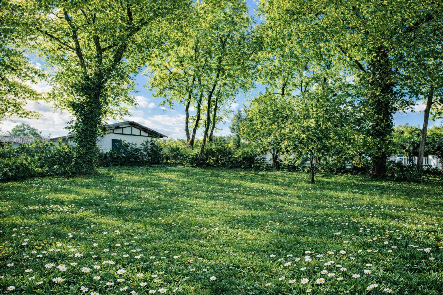 Agence immobilière de ERA JOSEPHINE LUXURY PROPERTIES