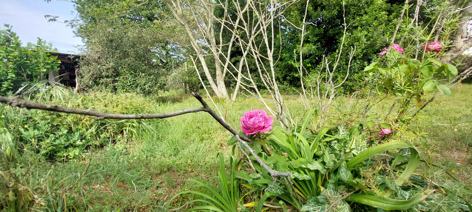 Terrain Villandraut 951 m2