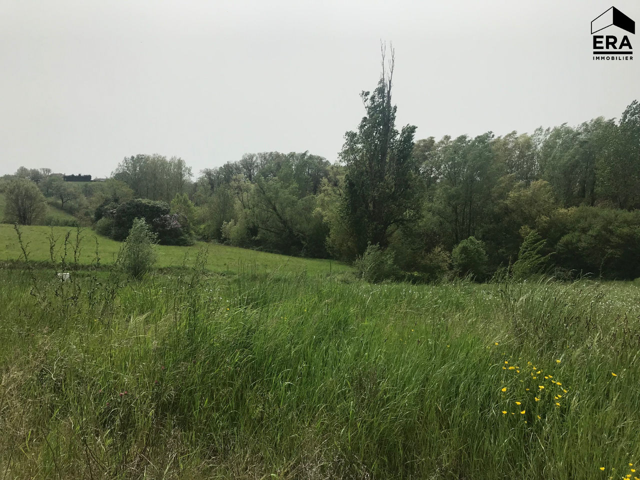 TERRAIN A BATIR - PUYLAURENS