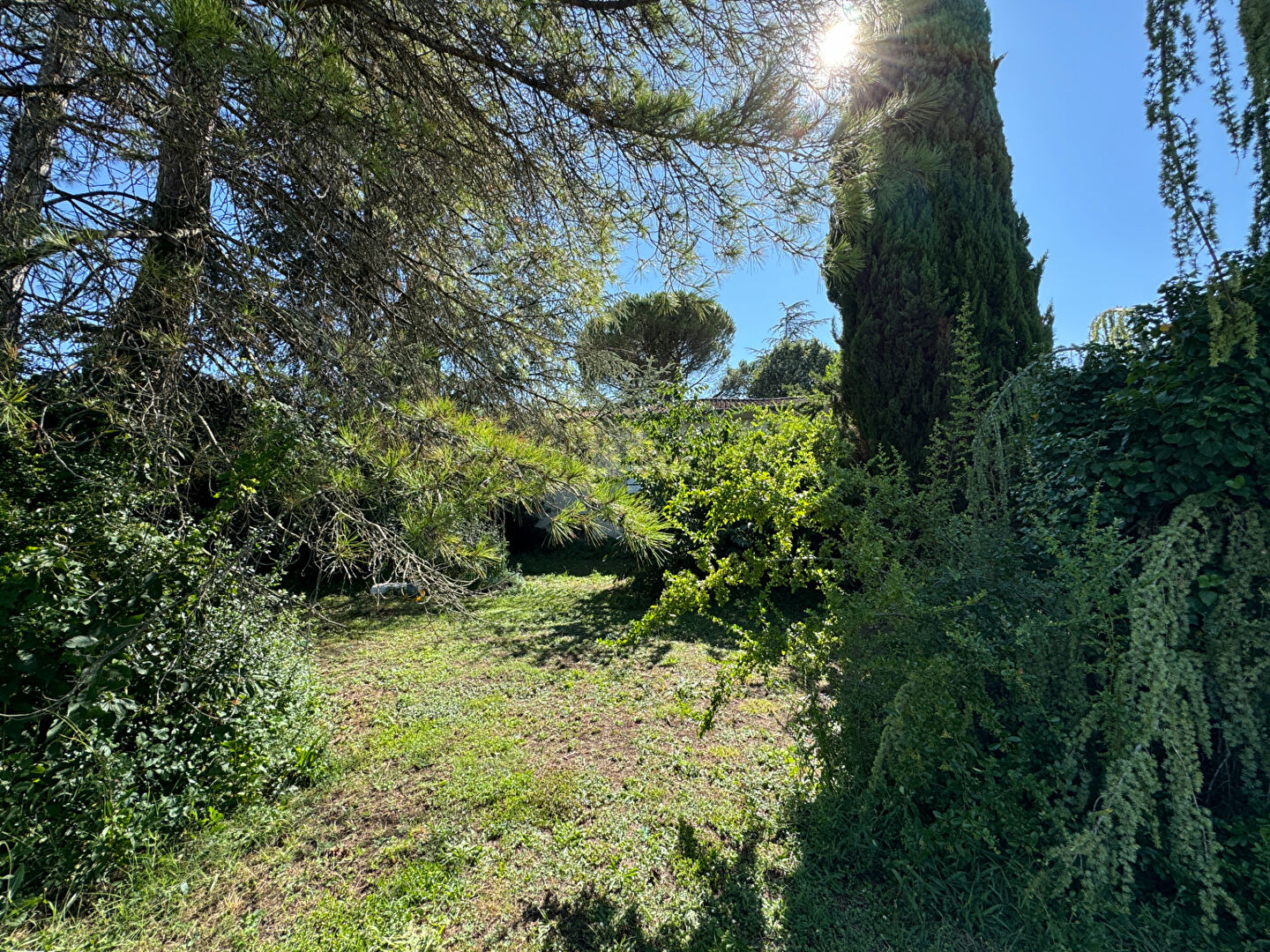 Photo QUARTIER PRISÉ  - MAISON DE PLAIN PIED SUR SOUS-SOL image 4/6