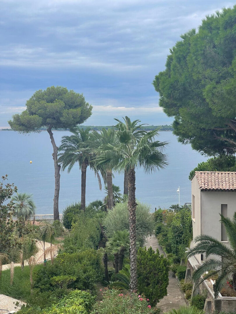 Photo APPARTEMENT 4P - CANNES PALM BEACH - VUE MER - TERRASSE image 3/6