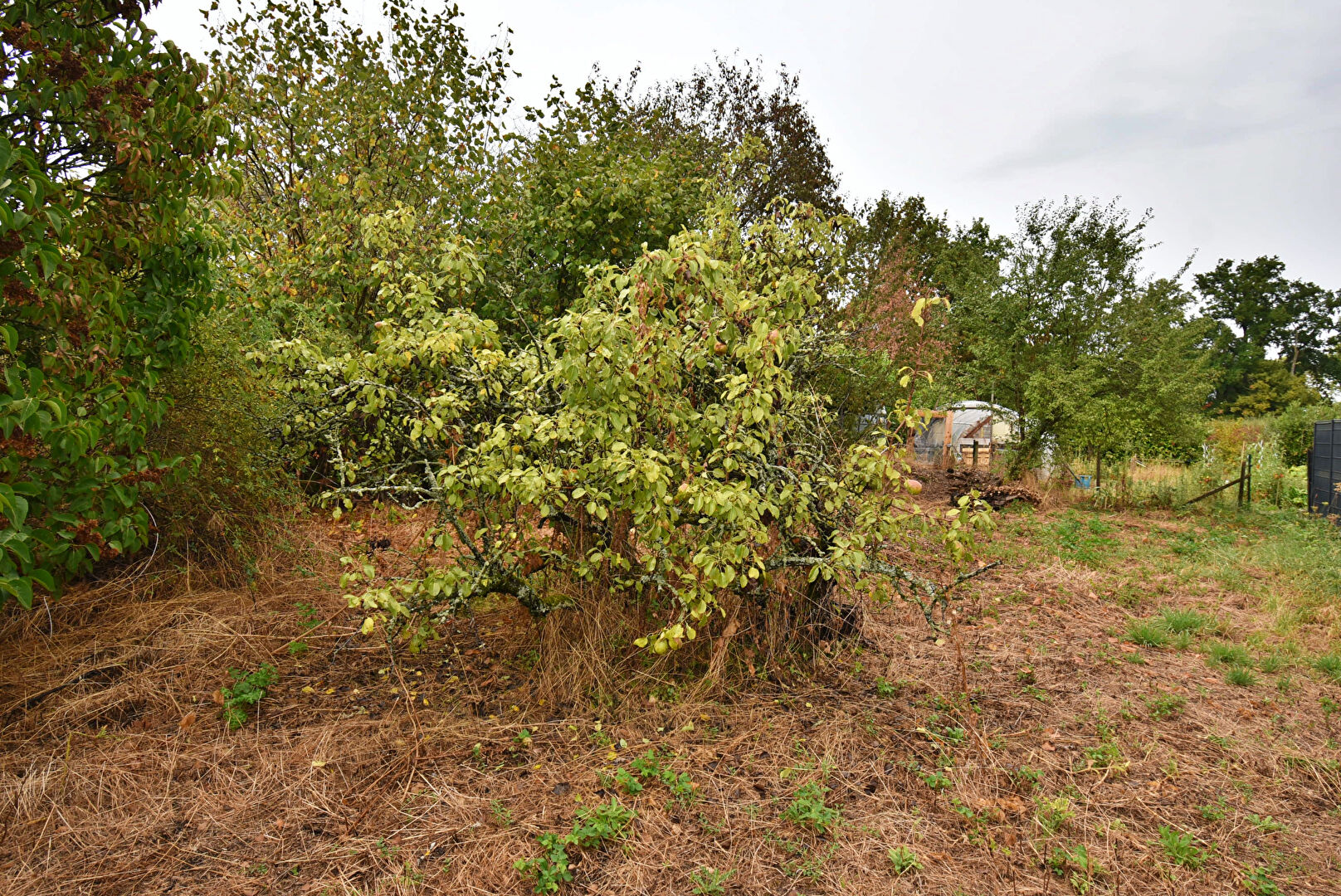 Photo Maison de bourg à vendre à Changy 95 m² image 2/6