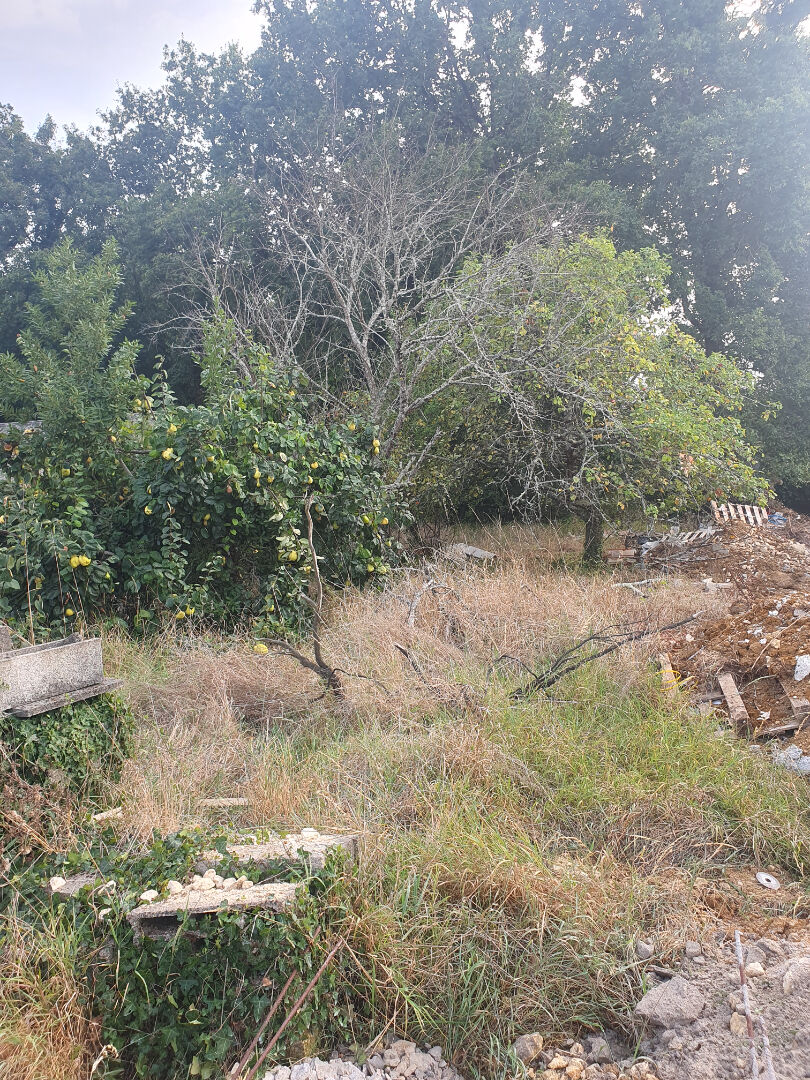 Terrain Trizay 759 m2