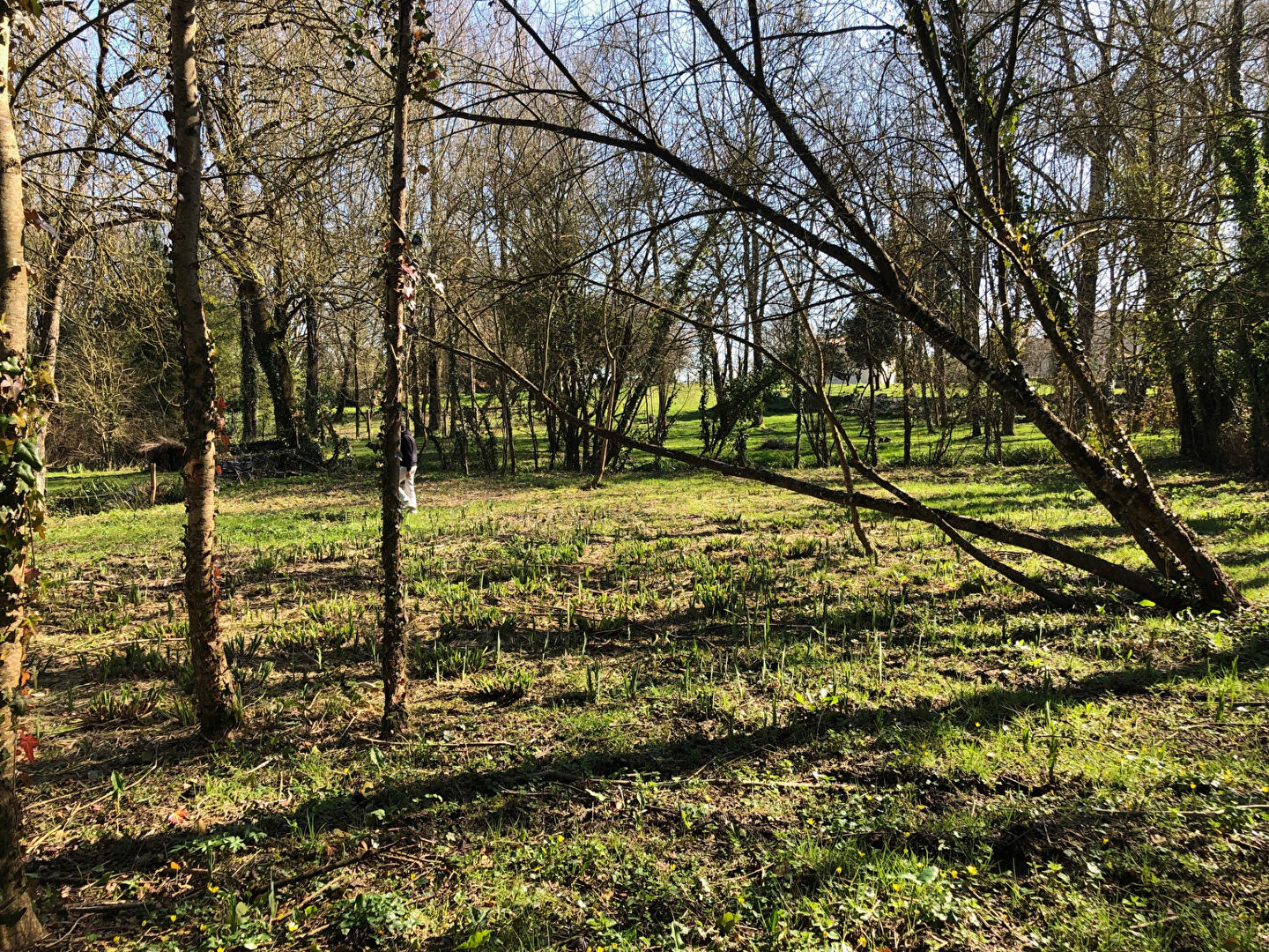 Terrain Cabariot 1963 m2