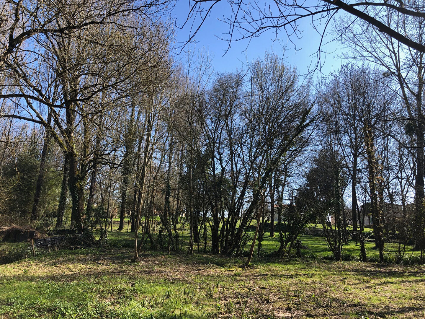 Photo Terrain à vendre à Cabariot - Référence 3395 image 2/4