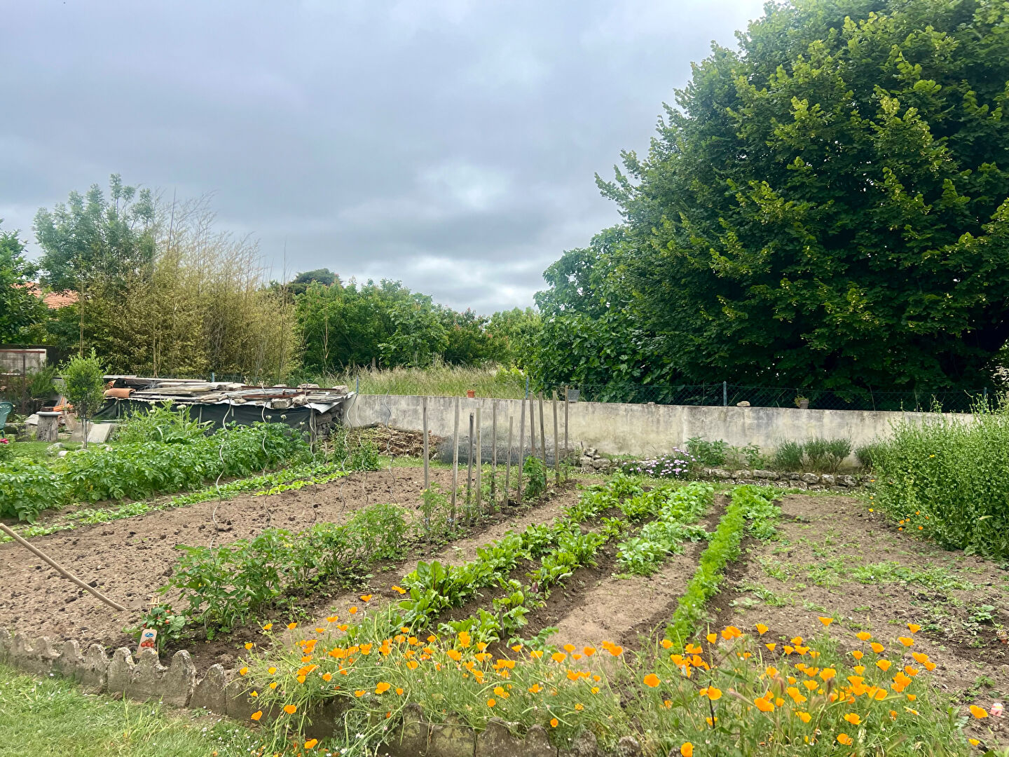 Photo Maison Bourcefranc Le Chapus 4 pièce(s) 110 m2 image 2/3