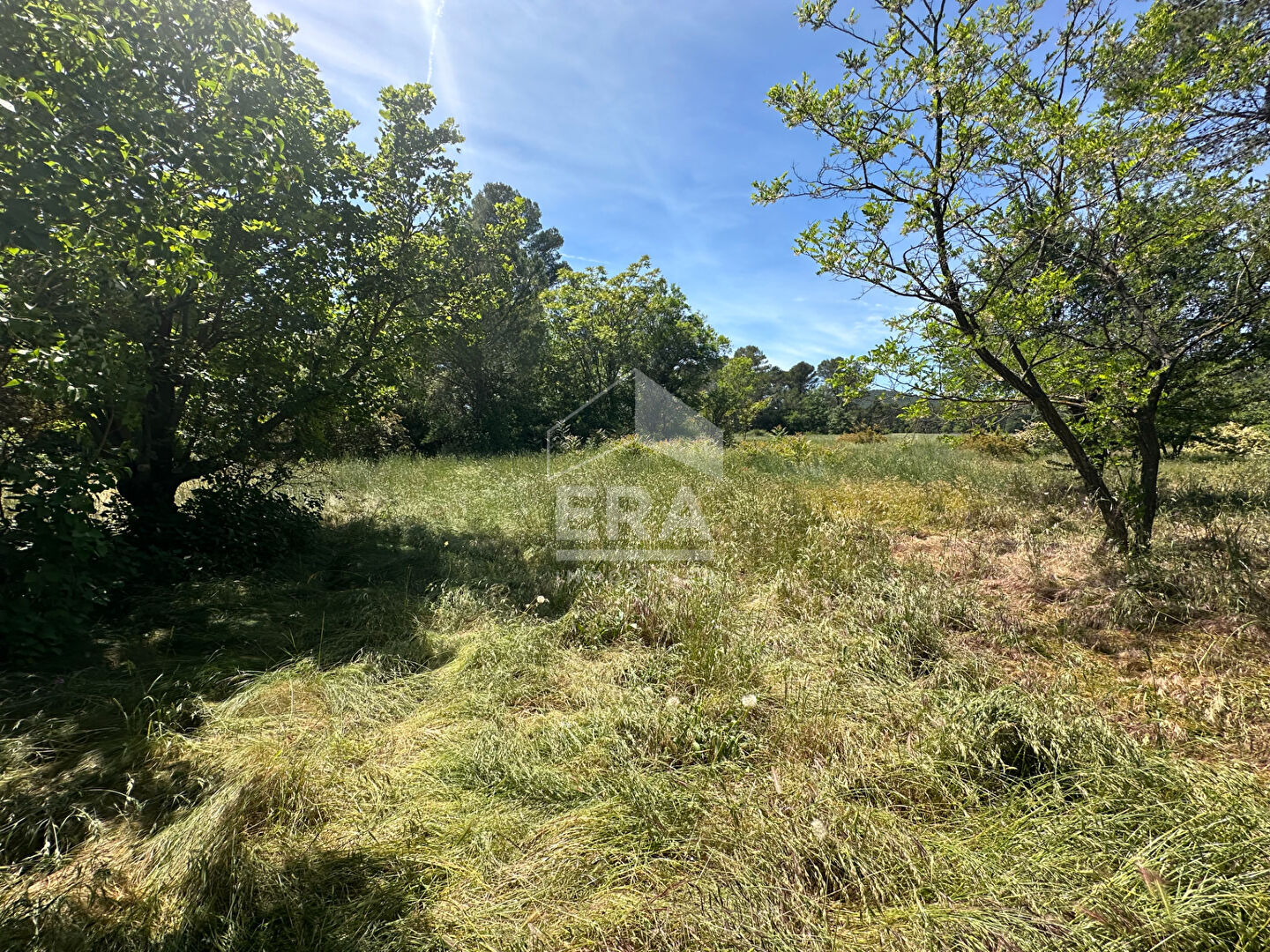 Photo A VENDRE  83860 NANS LES PINS BASTIDE DU XVIII 2ME SIECLE DE 180M² SUR 12491 M² DE TERRAIN GARAGE image 3/6