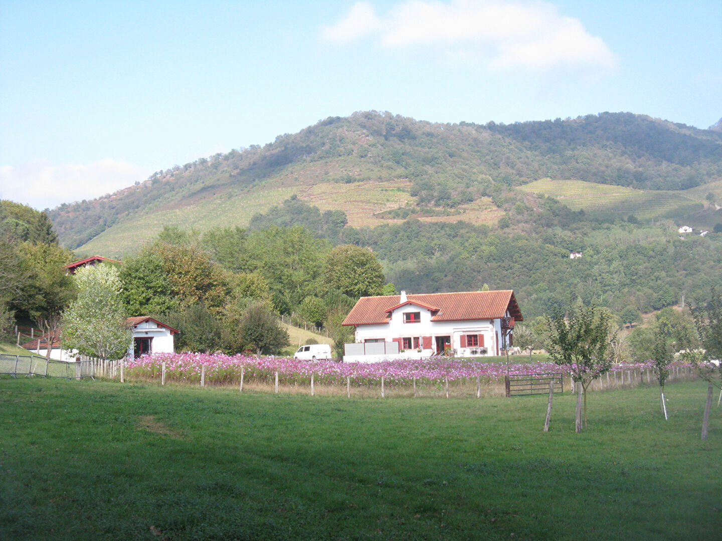 Saint Jean Pied de Port - Proche - Vente Maison - Maison d'hôtes