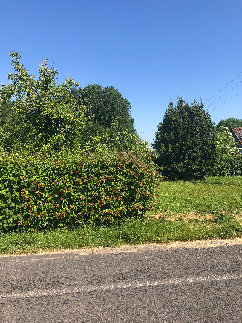 Photo terrain constructible 900 m2 image 3/3