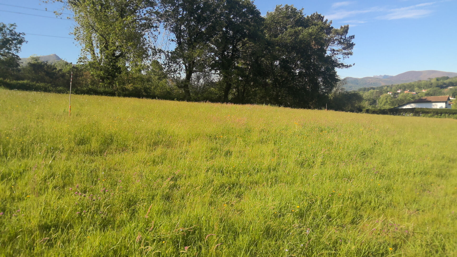 vente terrain à ASCAIN - 400 000