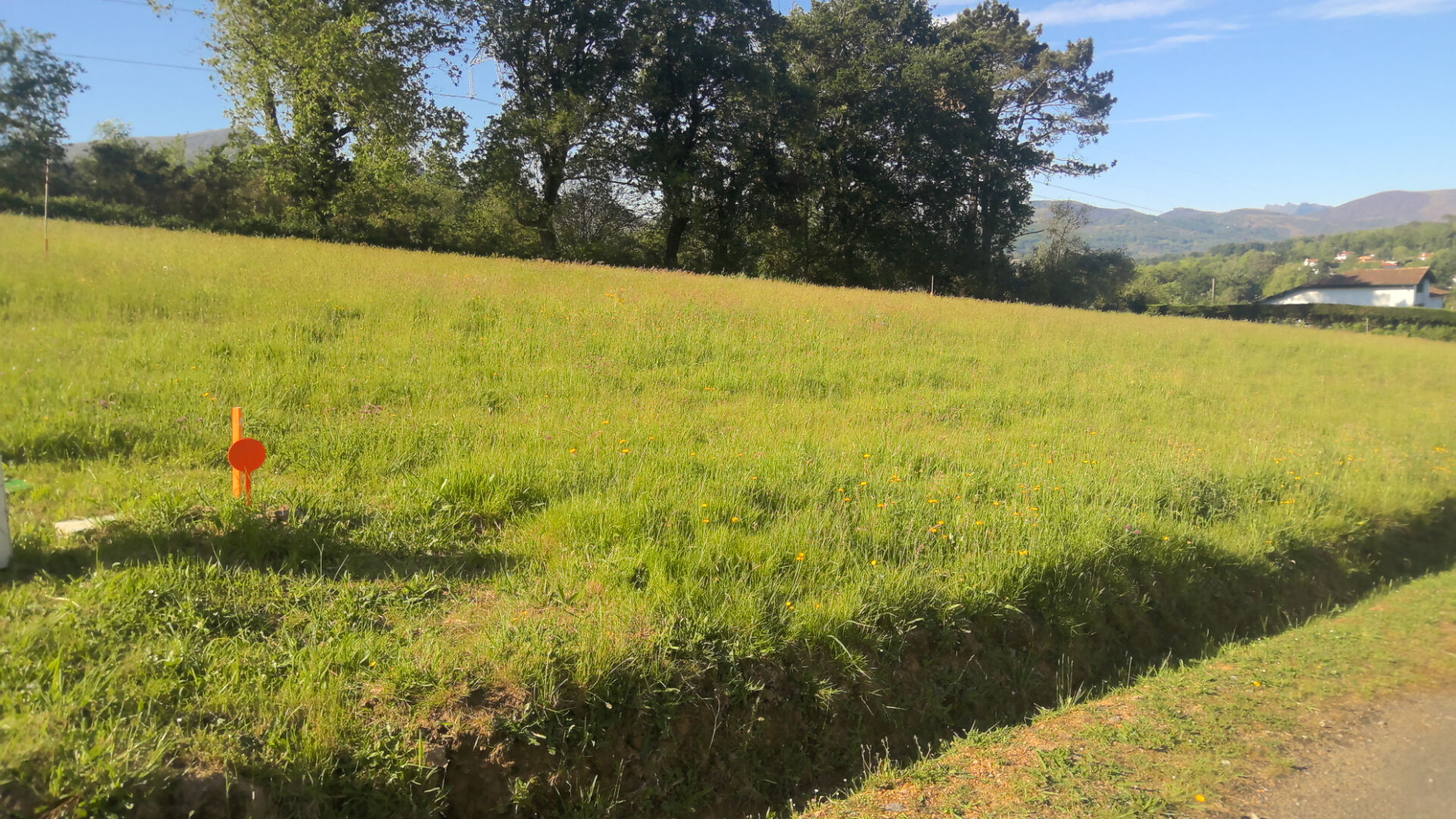 Photo Terrain Ascain 1000 m2 image 2/2