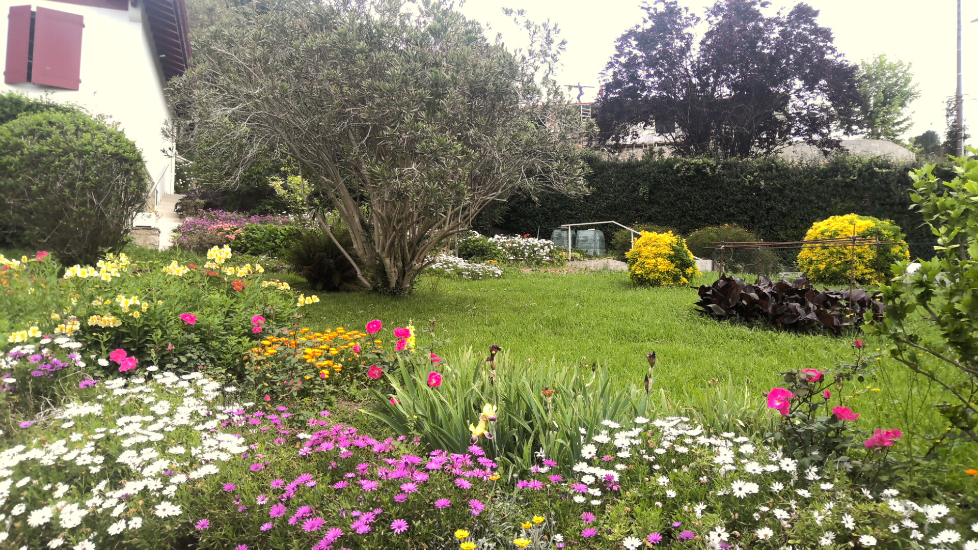 Vente maison 4 pièces  à SAINT JEAN DE LUZ - 2