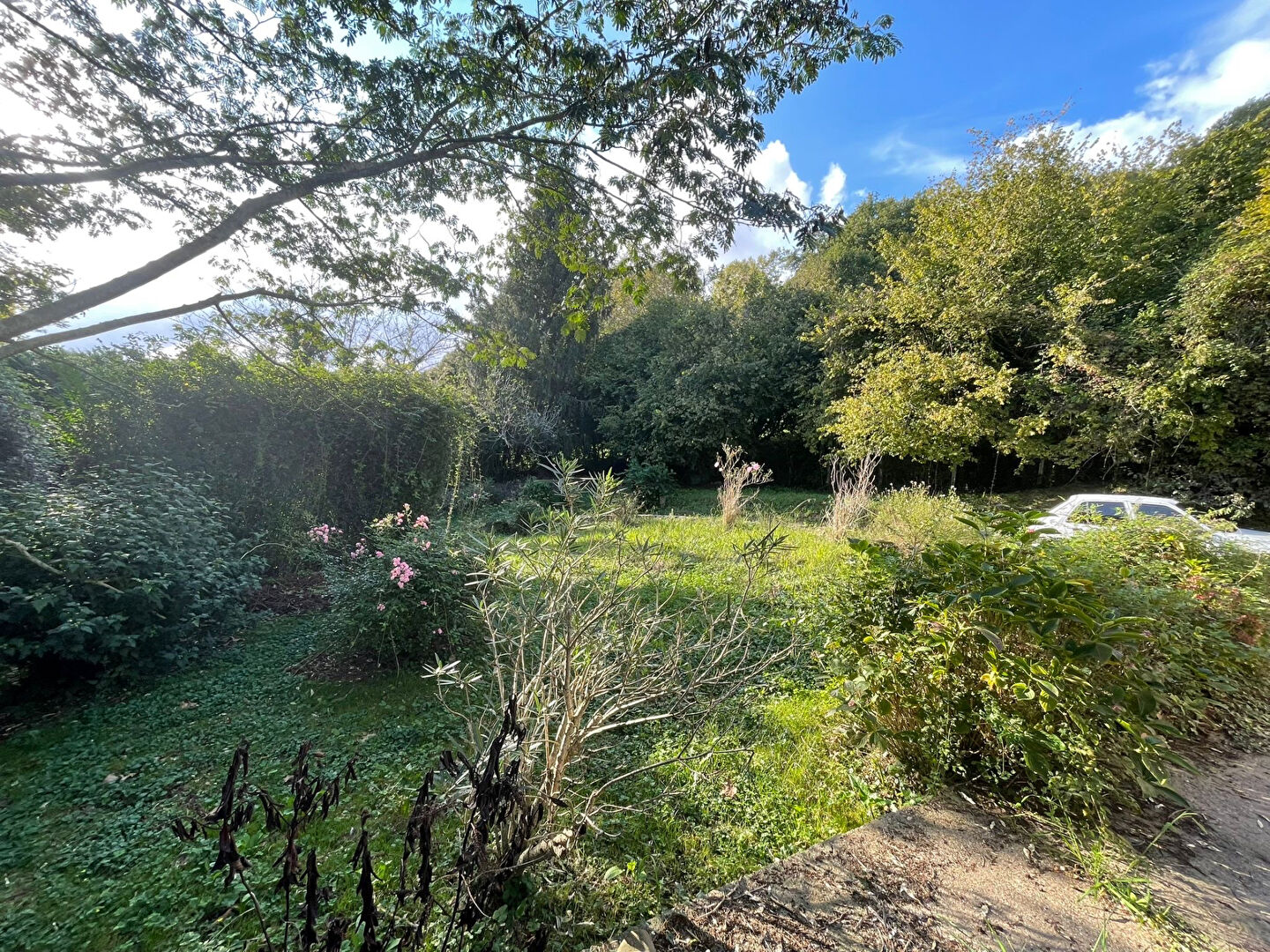 Vente maison 5 pièces  à SAINT PEE SUR NIVELLE - 3