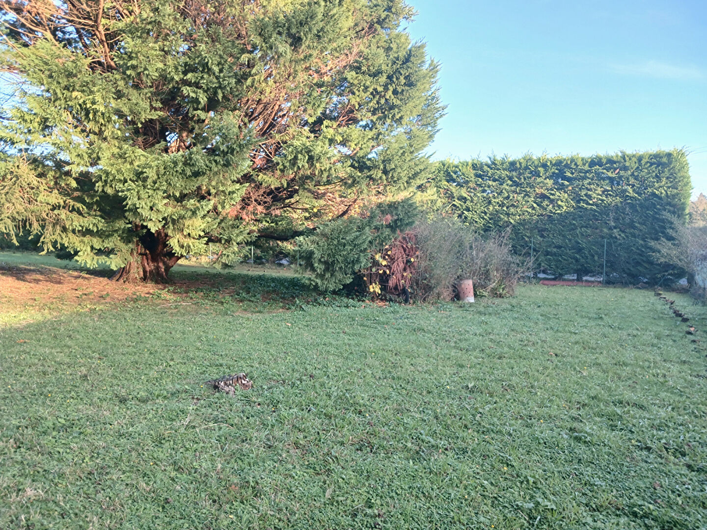 vente terrain à SAINT PEE SUR NIVELLE - 220 000