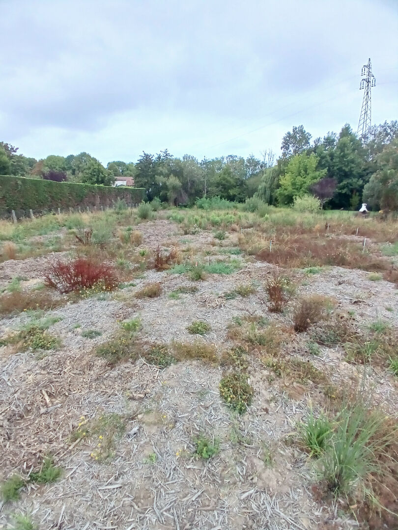 vente terrain à BIDART - 460 000