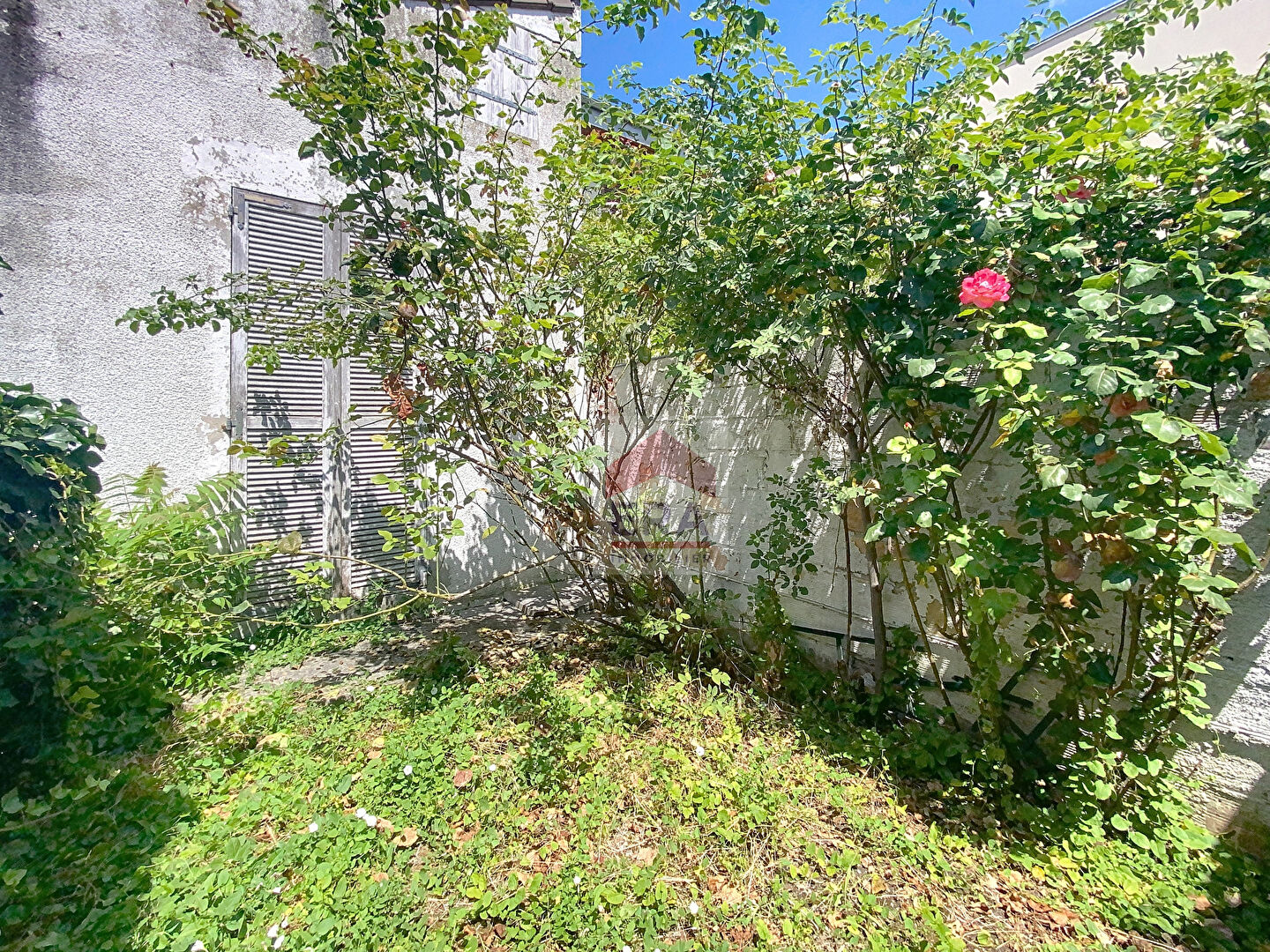 Photo Maison de plain pied 64 M2 image 2/6