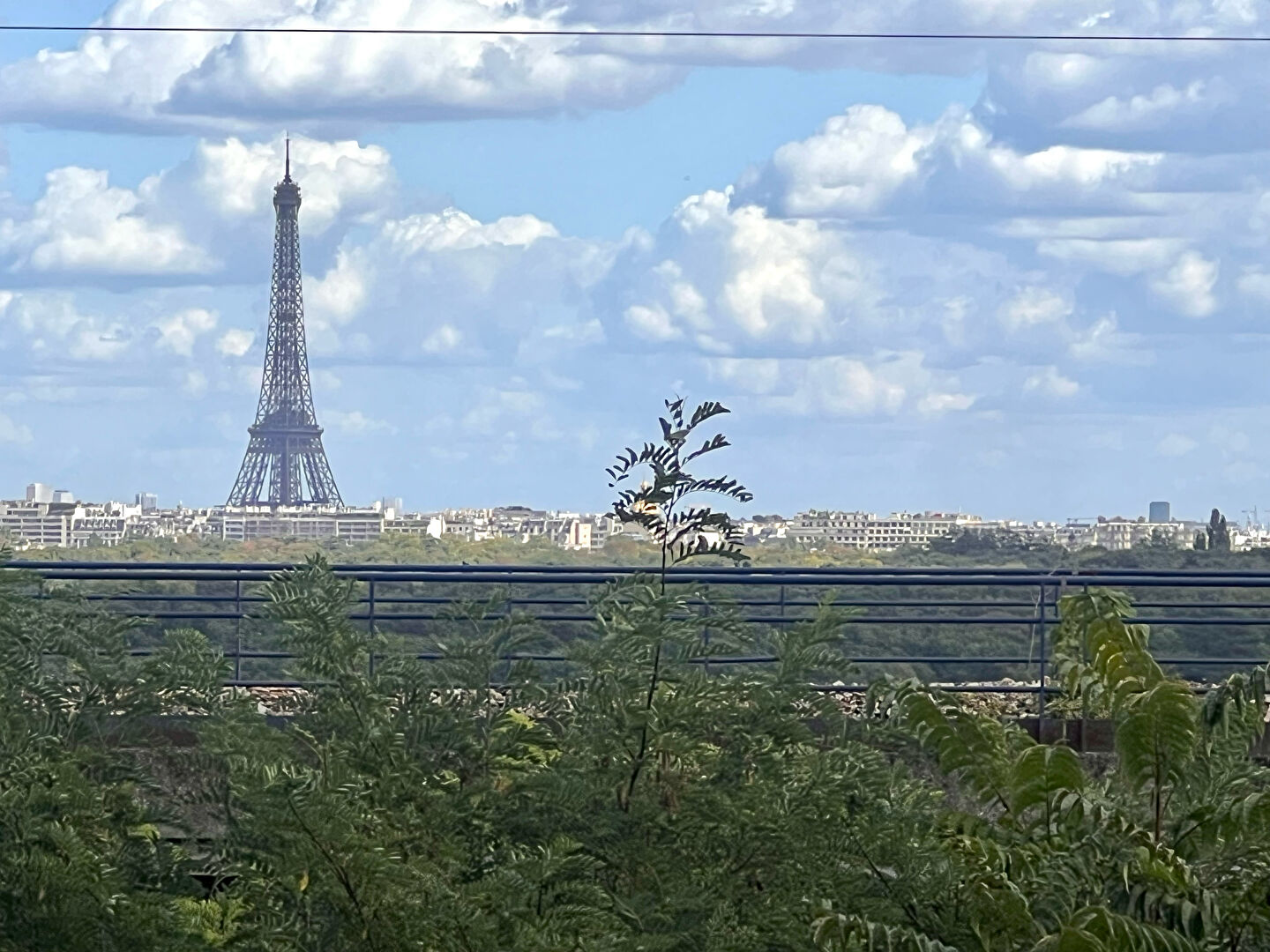 Photo Appartement Suresnes 4 pièce(s) 100 m2 image 2/6