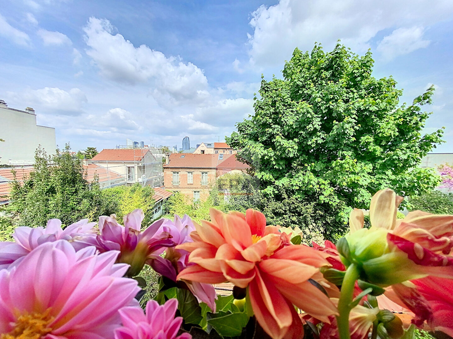 Photo Maison Suresnes 73 M2 image 6/6