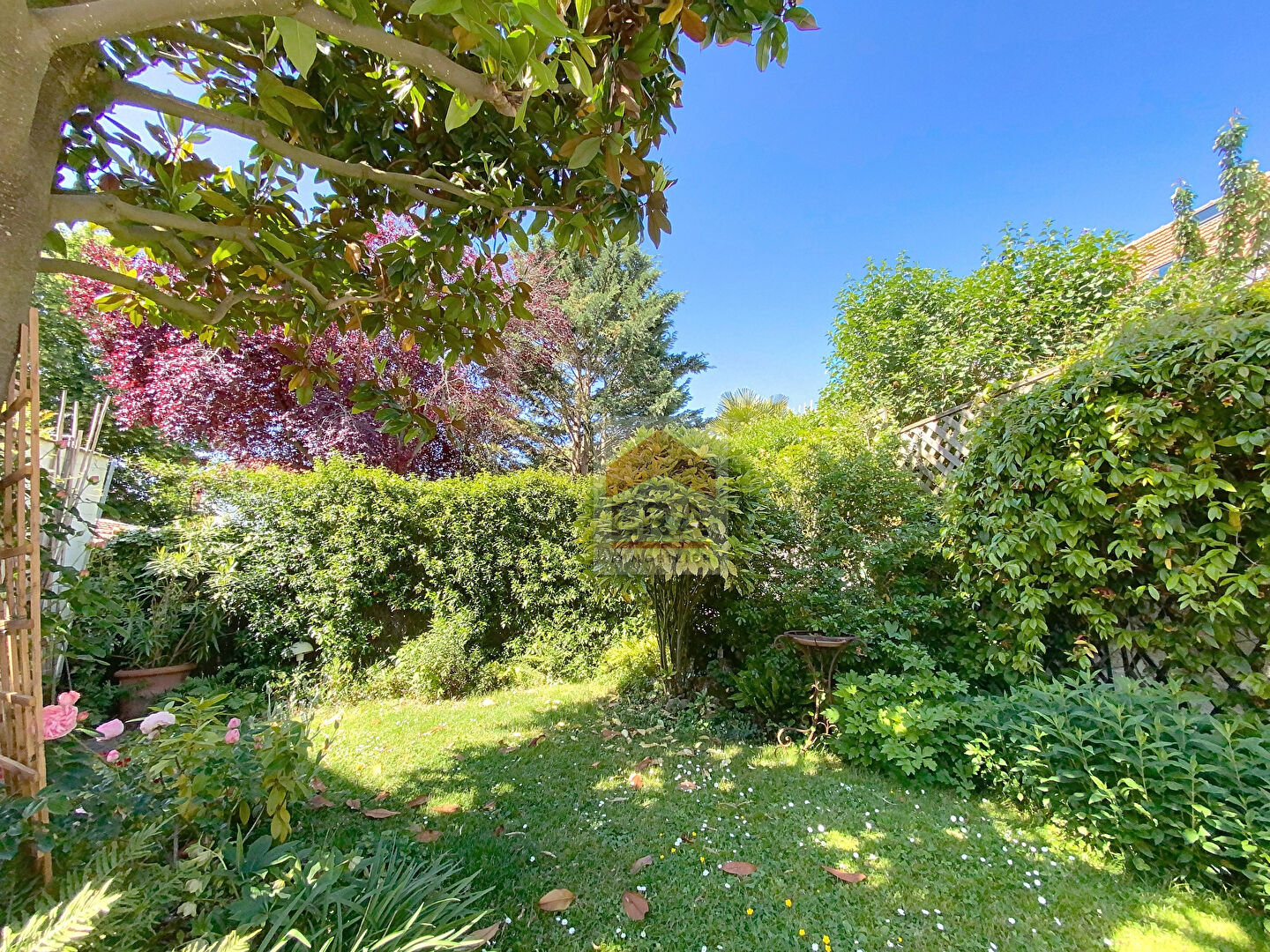 Photo Maison Suresnes 7 pièce(s) 160 m2 image 6/6