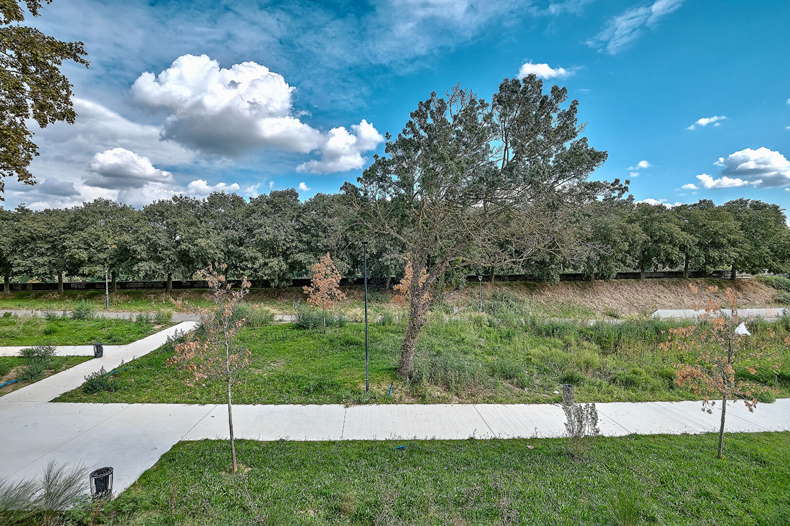 Photo A vendre - Appartement 3 pièces Toulouse / Fer à Cheval (31000) image 4/6