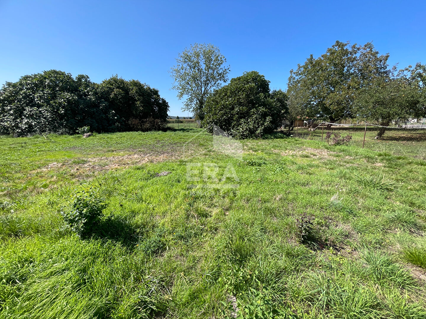 Terrain contructible Camalès 1157 m2