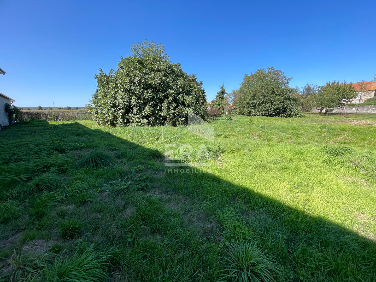 Photo Terrain contructible Camalès 1157 m2 image 2/4