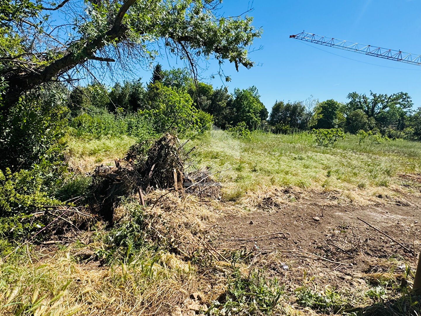 Photo Terrain de 948m2 istres(13800) image 2/4