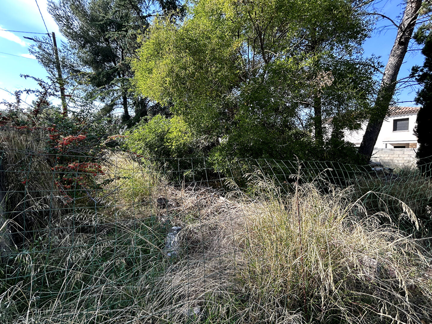 Photo Terrain Marignane 500 m2 image 2/3